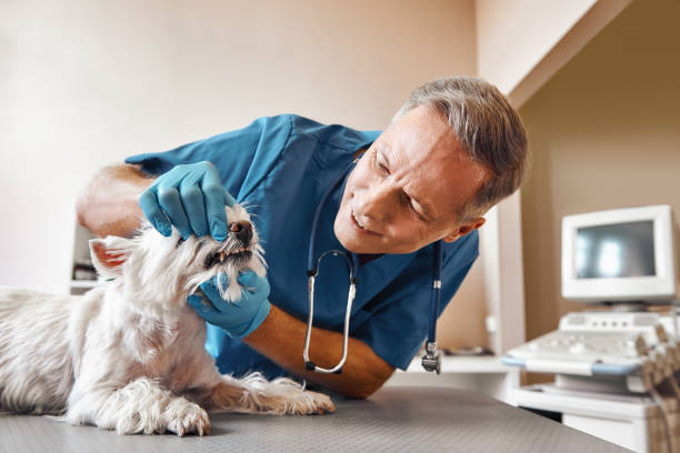 Best Emergency Tooth Extraction in Boaz, AL